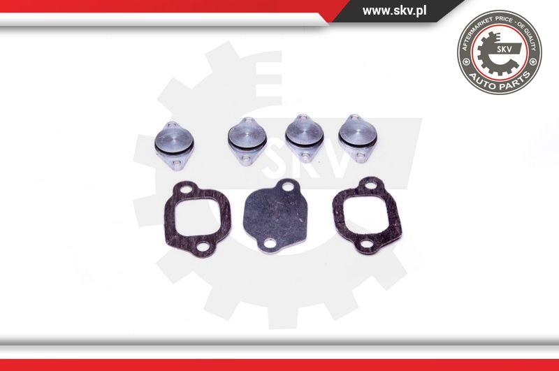 Esen SKV 49SKV529 - Repair Kit, intake manifold module autozip.com.ua