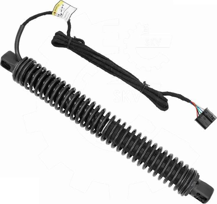 Esen SKV 52SKV986 - Електромотор, задні двері autozip.com.ua