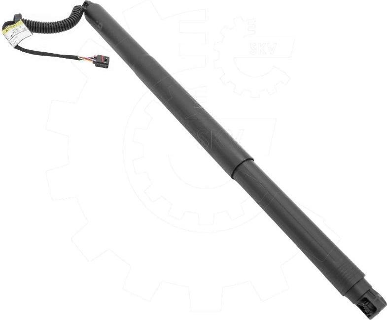 Esen SKV 52SKV197 - Електромотор, задні двері autozip.com.ua