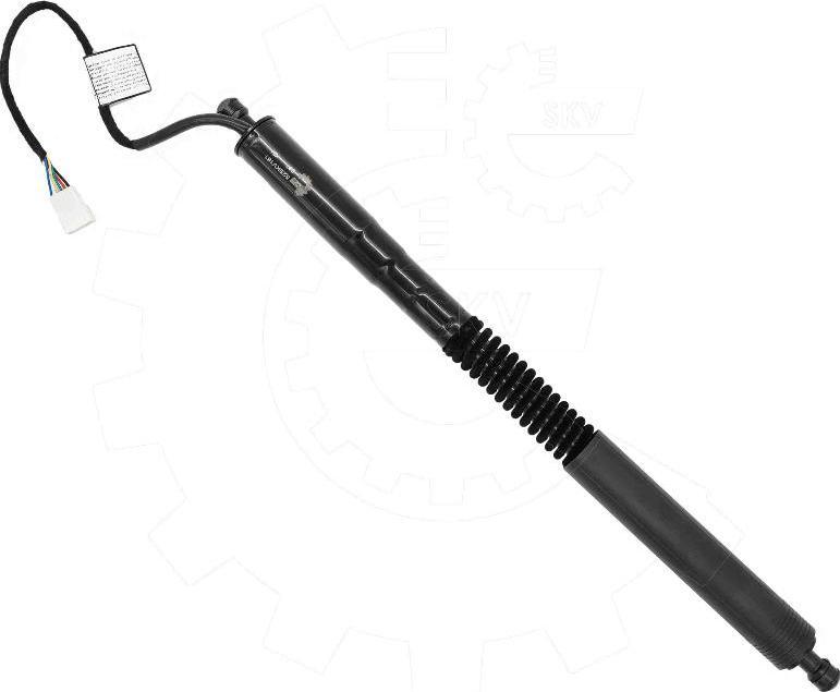 Esen SKV 52SKV181 - Електромотор, задні двері autozip.com.ua