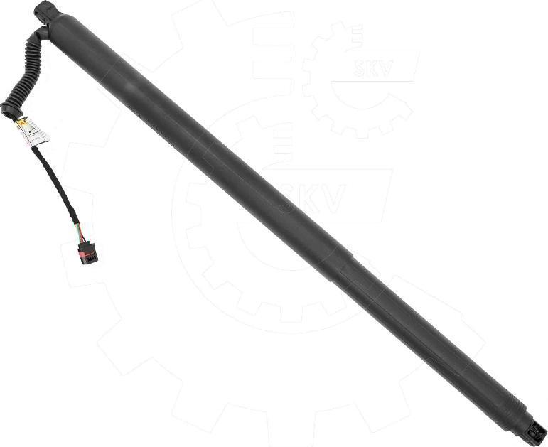 Esen SKV 52SKV203 - Електромотор, задні двері autozip.com.ua