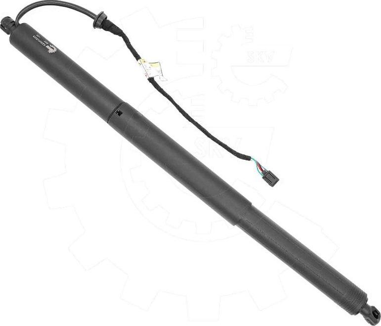 Esen SKV 52SKV223 - Електромотор, задні двері autozip.com.ua