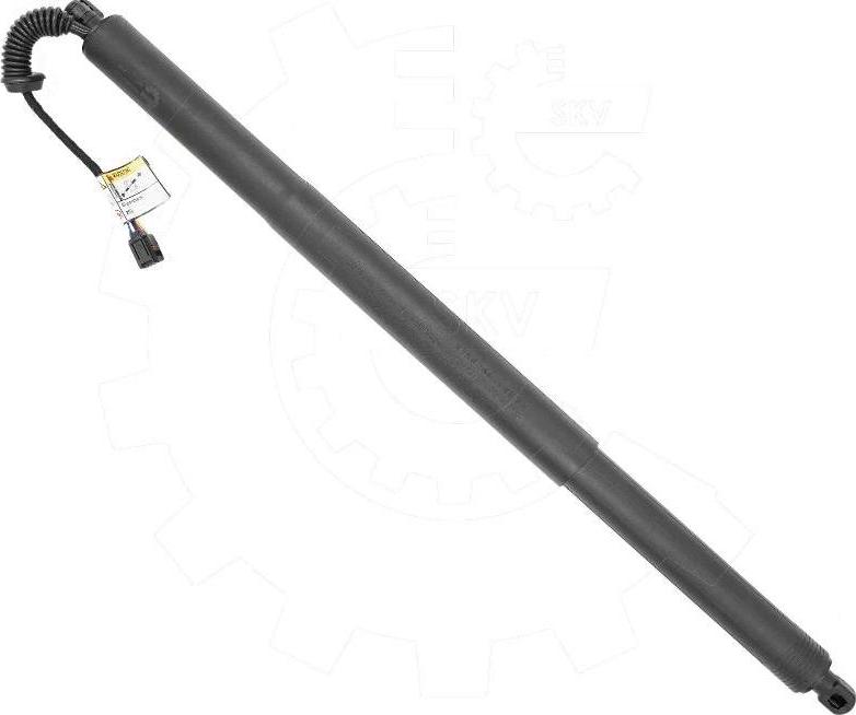 Esen SKV 52SKV222 - Електромотор, задні двері autozip.com.ua