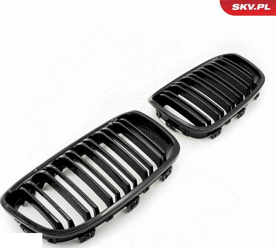 Esen SKV 66SKV016 - Решітка радіатора autozip.com.ua