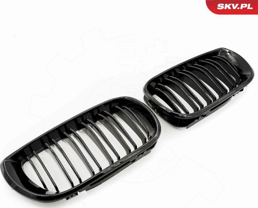 Esen SKV 66SKV081 - Решітка радіатора autozip.com.ua