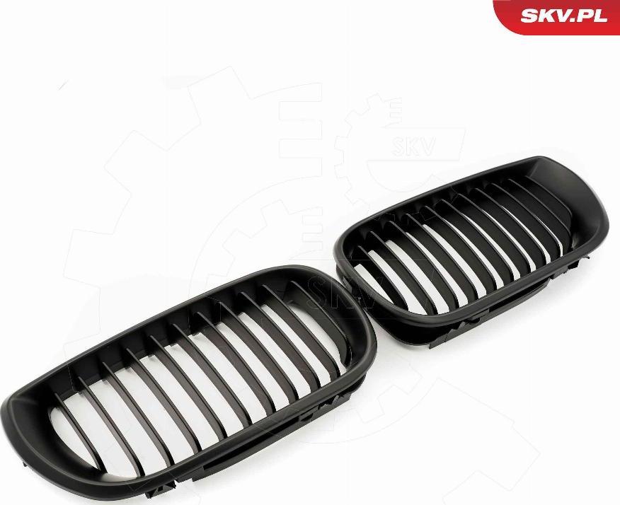 Esen SKV 66SKV077 - Решітка радіатора autozip.com.ua