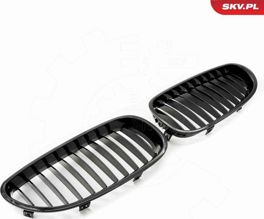 Esen SKV 66SKV165 - Решітка радіатора autozip.com.ua