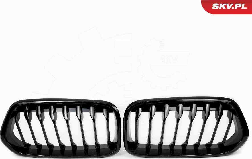 Esen SKV 66SKV245 - Решітка радіатора autozip.com.ua