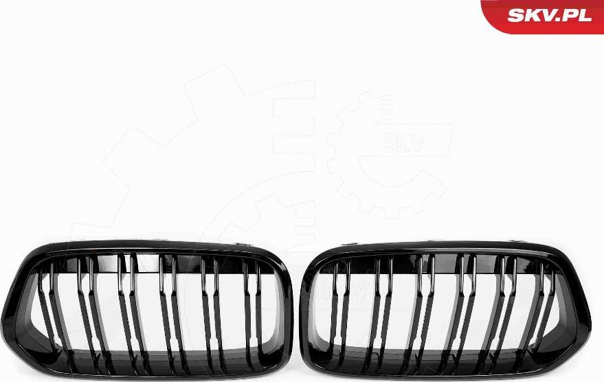 Esen SKV 66SKV246 - Решітка радіатора autozip.com.ua