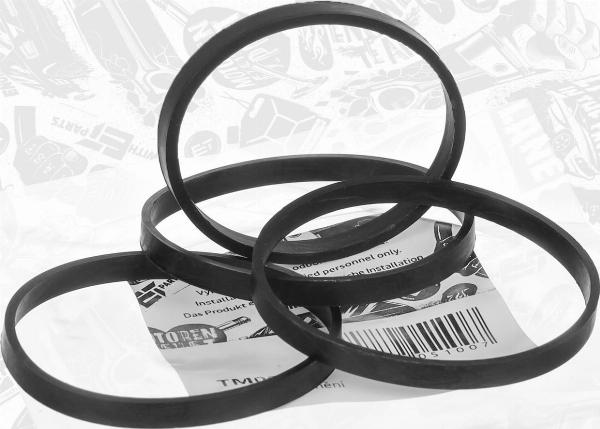 ET Engineteam TM0066 - Комплект прокладок, впускний колектор autozip.com.ua