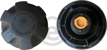 EUROCAMS EERC191 - Кришка, радіатор autozip.com.ua