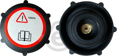 EUROCAMS EERC276 - Кришка, радіатор autozip.com.ua