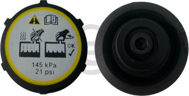 EUROCAMS EERC278 - Кришка, радіатор autozip.com.ua