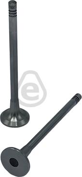 EUROCAMS EVI4900 - Впускний клапан autozip.com.ua