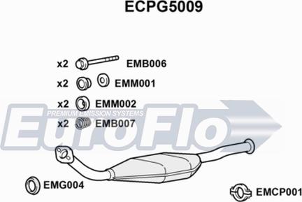 EuroFlo ECPG5009 - Каталізатор autozip.com.ua