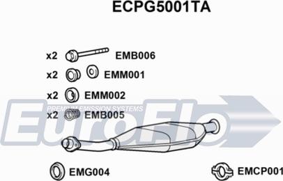 EuroFlo ECPG5001TA - Каталізатор autozip.com.ua