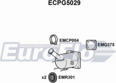 EuroFlo ECPG5029 - Каталізатор autozip.com.ua