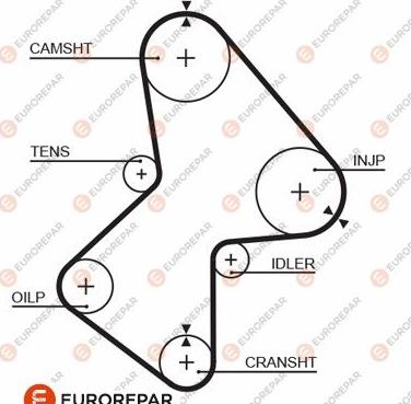 EUROREPAR 1633139780 - Ремінь ГРМ autozip.com.ua
