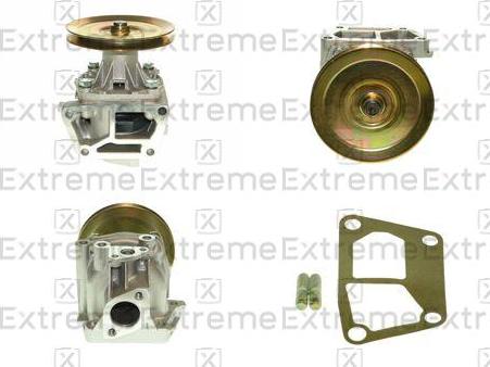 EXTREME 98110014 - Водяний насос autozip.com.ua