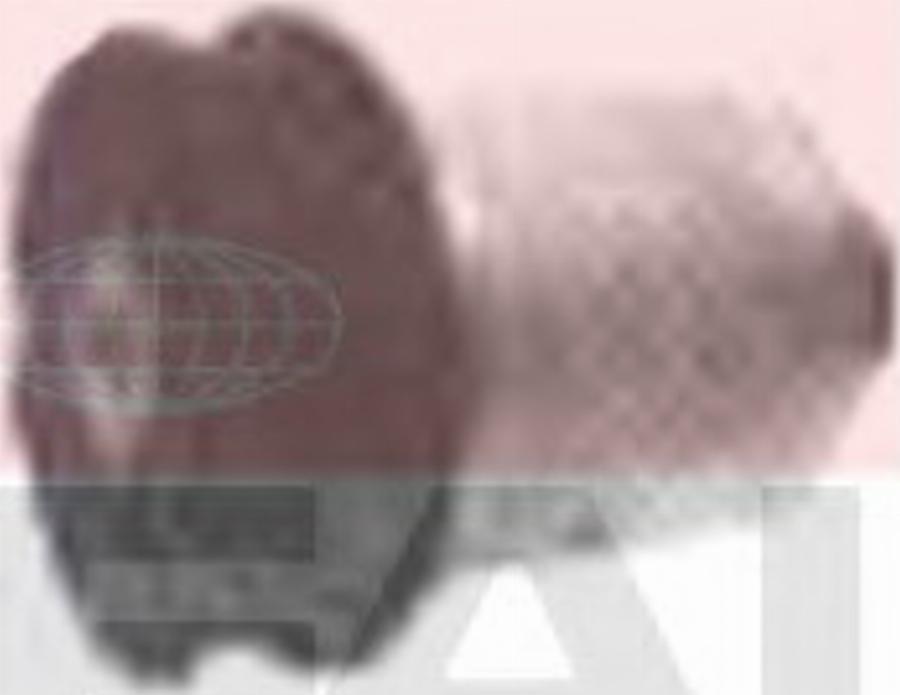 FAI SS4541 -  autozip.com.ua
