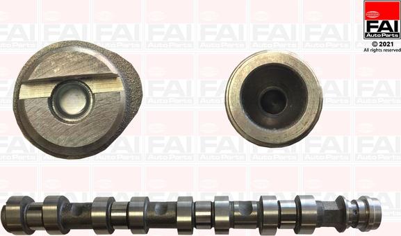 FAI AutoParts C461 - Шток autozip.com.ua