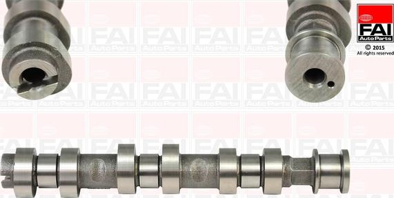 FAI AutoParts C319 - Шток autozip.com.ua