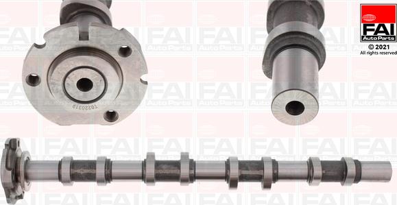 FAI AutoParts C251 - Шток autozip.com.ua