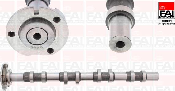FAI AutoParts C252 - Шток autozip.com.ua
