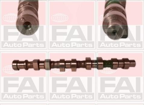 FAI AutoParts C219 - Шток autozip.com.ua