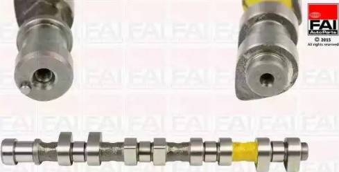 FAI AutoParts C218 - Шток autozip.com.ua