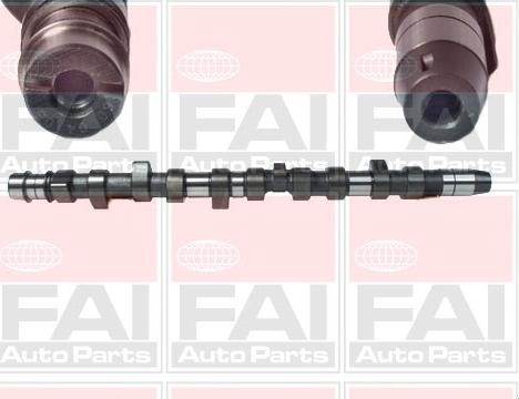 FAI AutoParts C231 - Шток autozip.com.ua