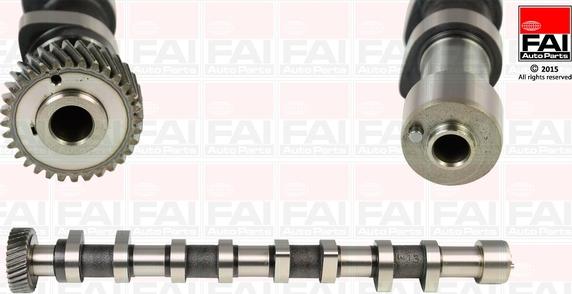 FAI AutoParts C237 - Шток autozip.com.ua