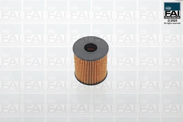 FAI AutoParts FPOF101 - Масляний фільтр autozip.com.ua