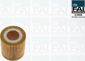 FAI FPOF180 - Масляний фільтр autozip.com.ua