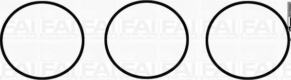 FAI AutoParts IM1777 - Комплект прокладок, впускний колектор autozip.com.ua