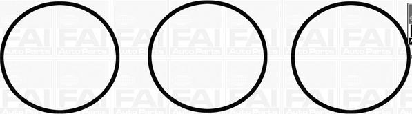 FAI AutoParts IM1777 - Комплект прокладок, впускний колектор autozip.com.ua