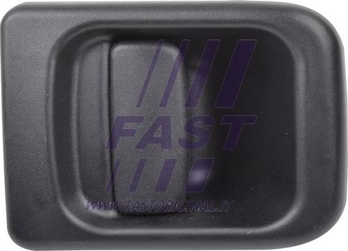 Fast FT94548 - Ручка двері autozip.com.ua