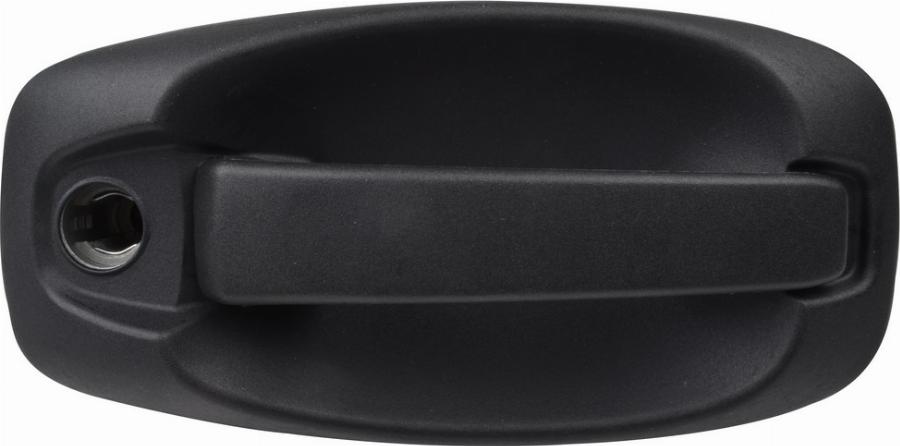 Fast FT94555 - Ручка двері autozip.com.ua