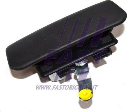 Fast FT94565 - Ручка двері autozip.com.ua