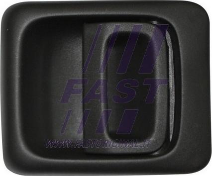 Fast FT94509 - Ручка двері autozip.com.ua