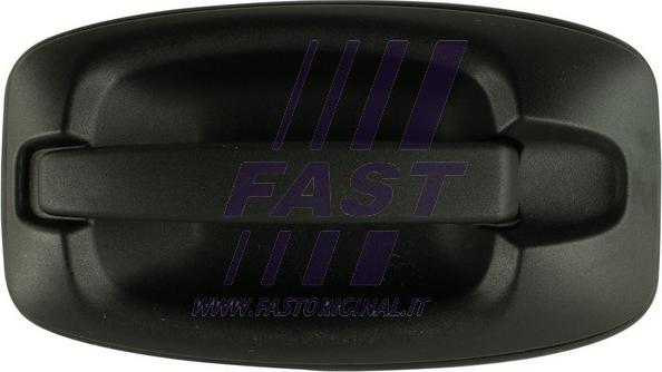 Fast FT94584 - Ручка двері autozip.com.ua