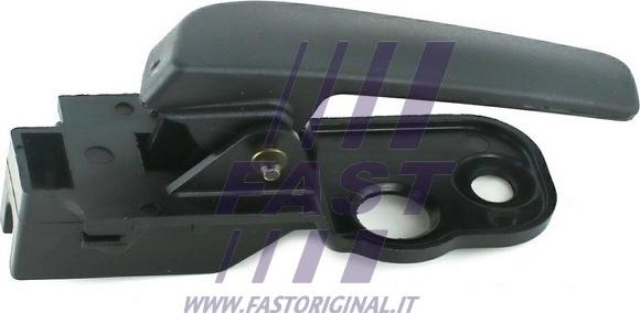 Fast FT94580 - Ручка двері autozip.com.ua
