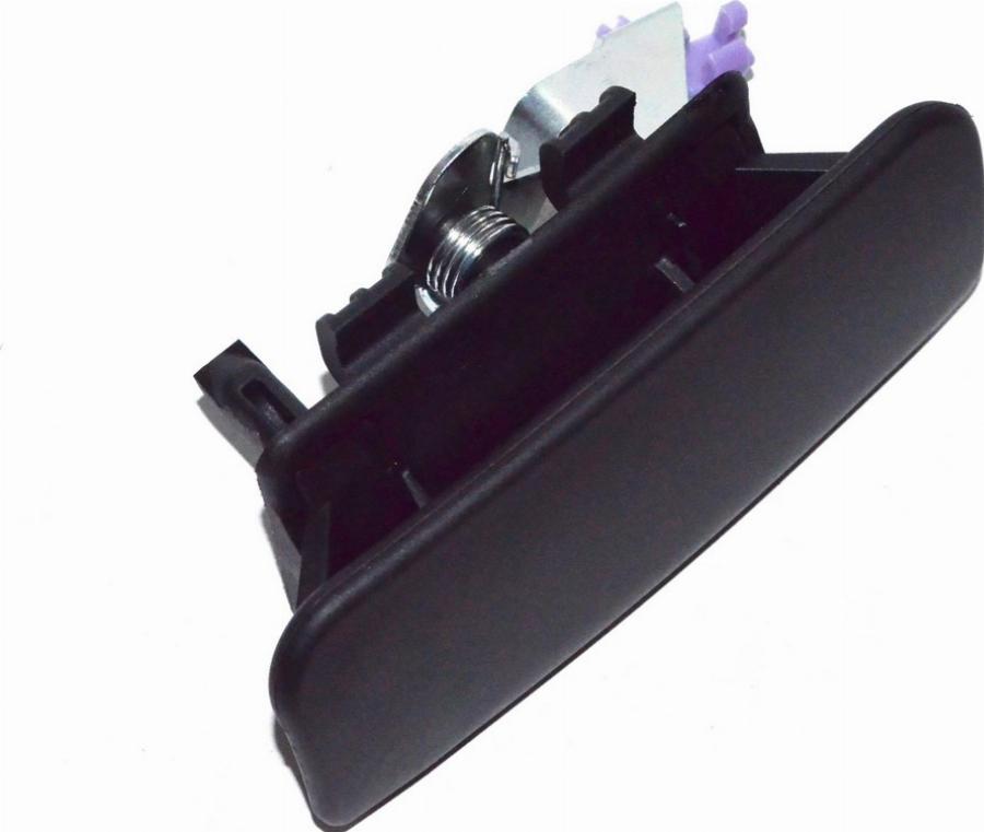 Fast FT94574 - Ручка двері autozip.com.ua