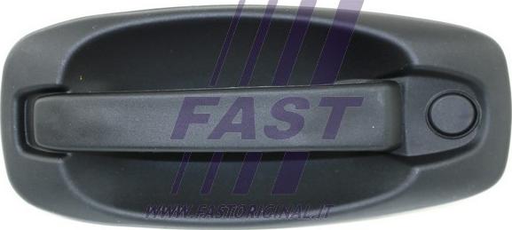 Fast FT94576 - Ручка двері autozip.com.ua