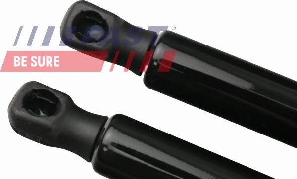 Fast FT94804K - Газова пружина, кришка багажник autozip.com.ua