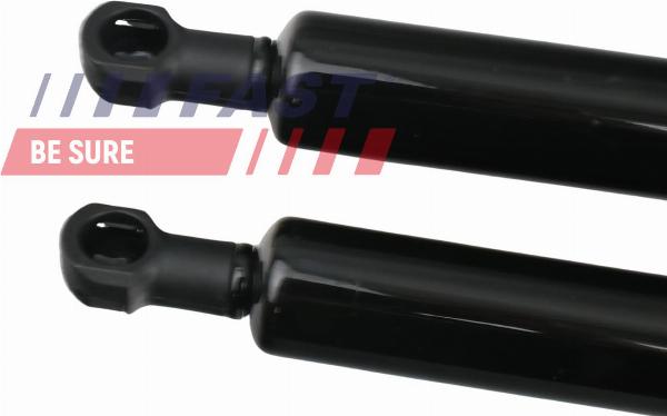 Fast FT94802K - Газова пружина, кришка багажник autozip.com.ua
