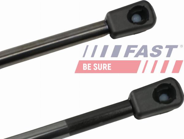 Fast FT94810K - Газова пружина, кришка багажник autozip.com.ua