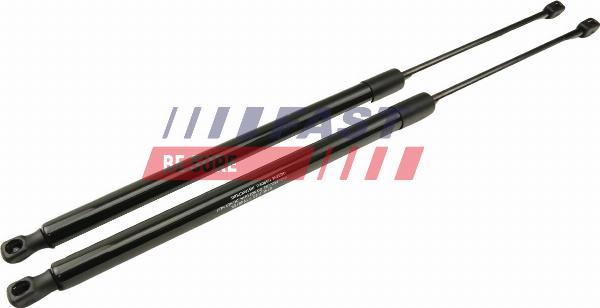 Fast FT94810K - Газова пружина, кришка багажник autozip.com.ua