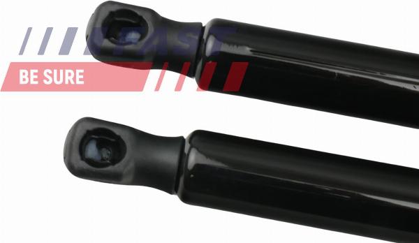 Fast FT94828K - Газова пружина, кришка багажник autozip.com.ua