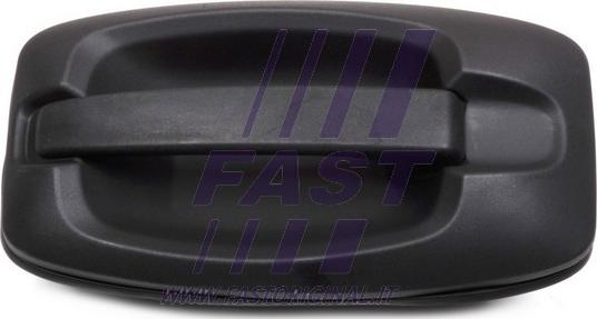 Fast FT94390 - Ручка двері autozip.com.ua